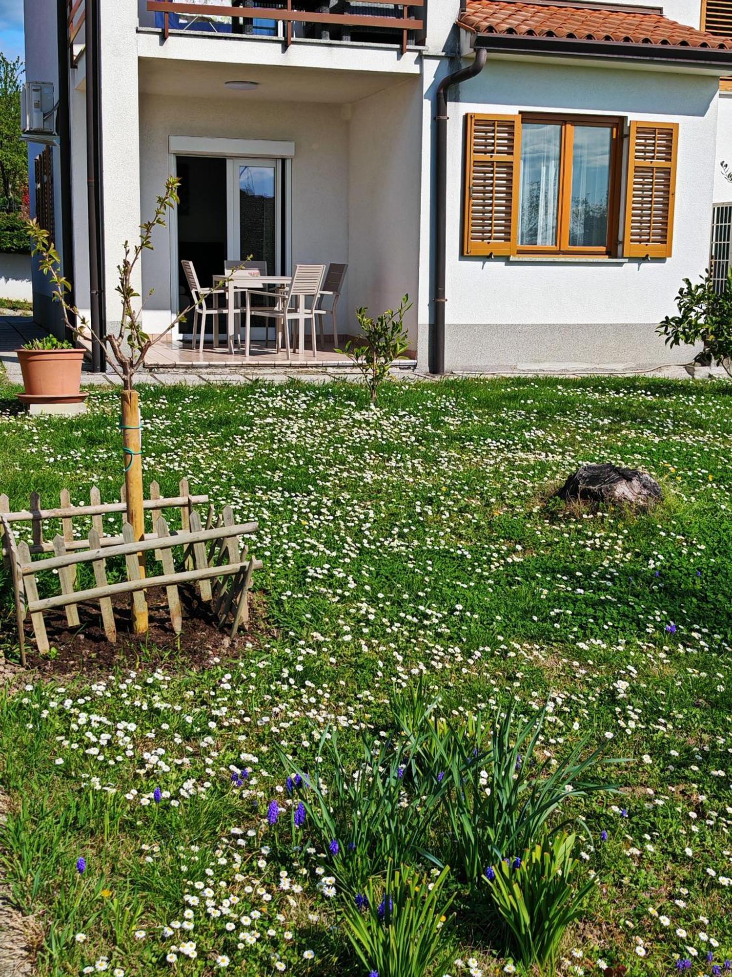 Apartma S&m Prázdninový dům *